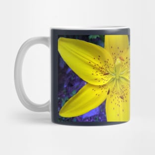 Yellow Flower Tiger Lily on Blue Background Day Lily Flowers Mug